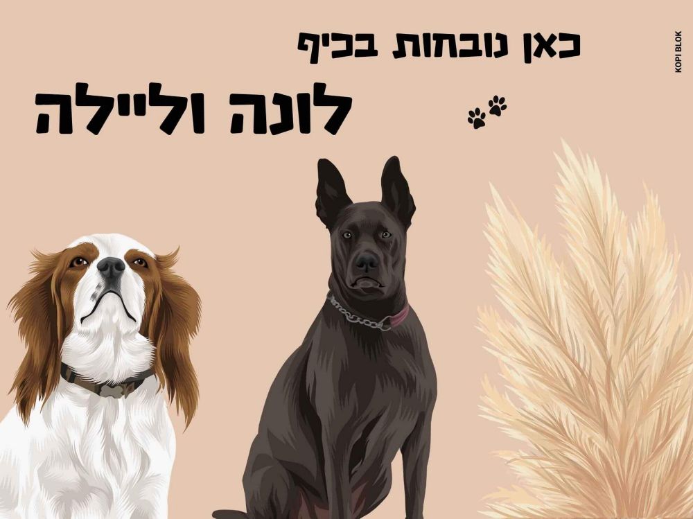 תמונה של שלט כניסה מאויר לדלת - בעל חיים